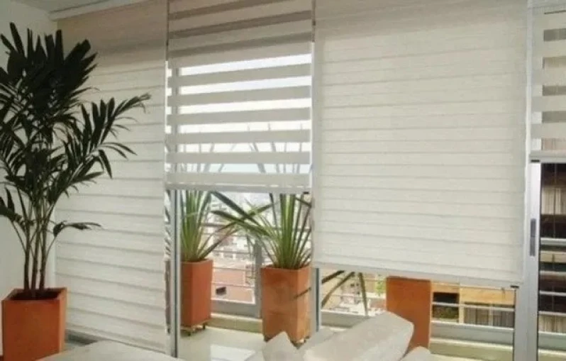 cortina double vision